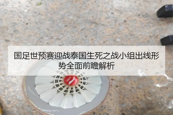 国足世预赛迎战泰国生死之战小组出线形势全面前瞻解析