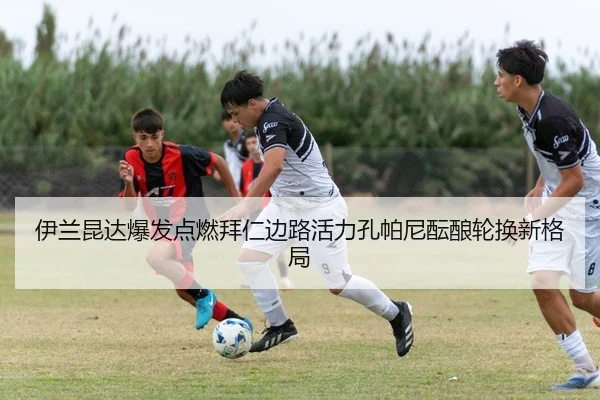 img_1784029377495_421_1_560.jpg